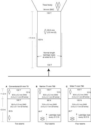 No deleterious circumference effects for T90 codends in an Australian fish trawl targeting tiger flathead, Platycephalus richardsoni